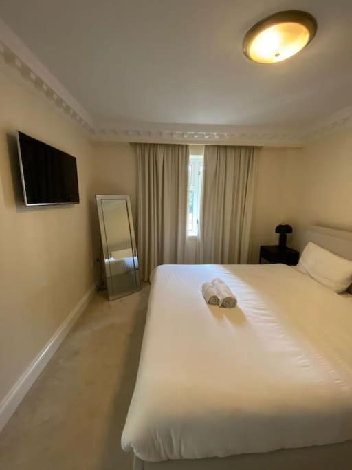 Newly Refurbished Apartment, Near Station & River Londyn Zewnętrze zdjęcie